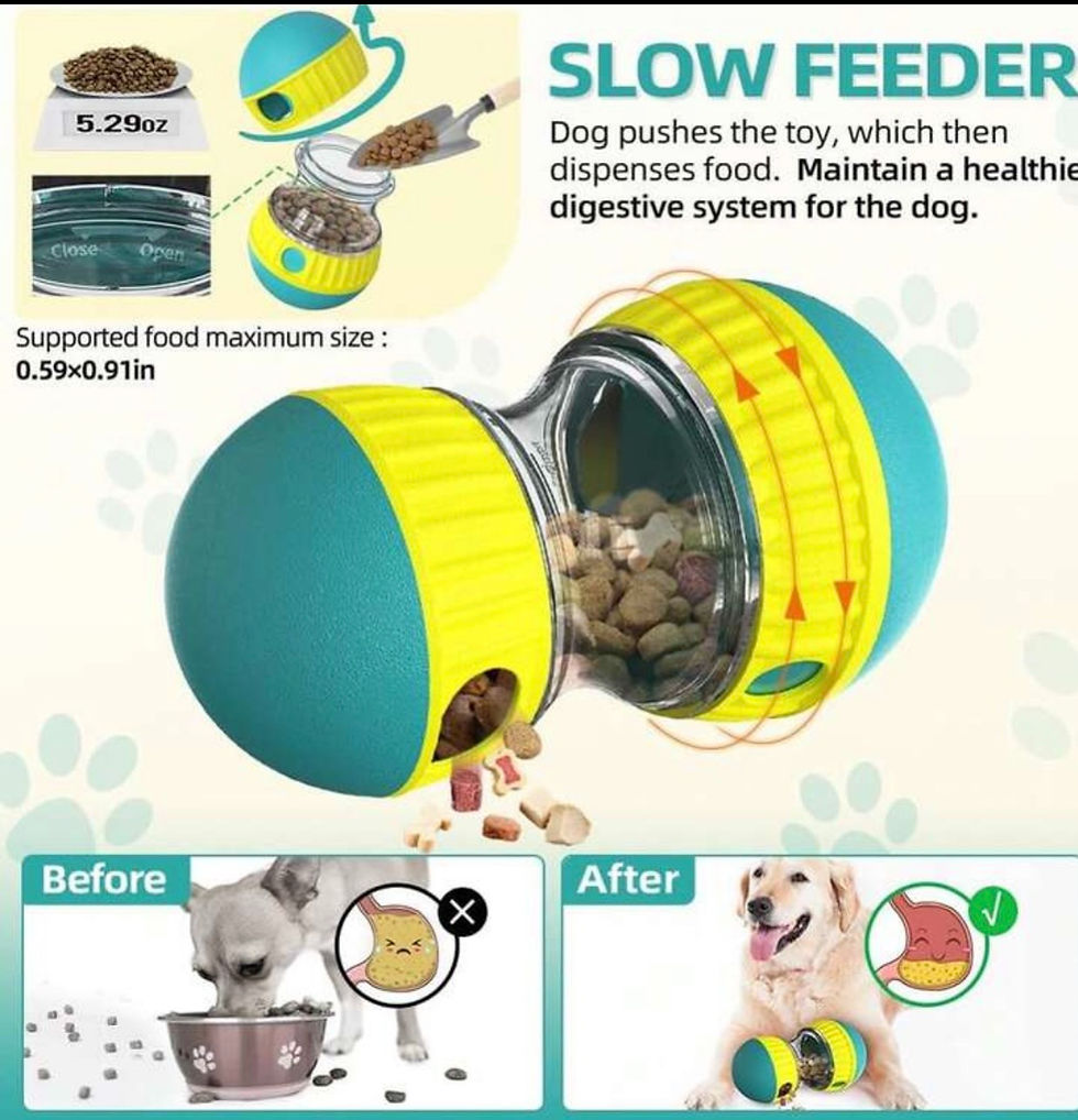 Thumbnail: Interactive Treat Tumbler