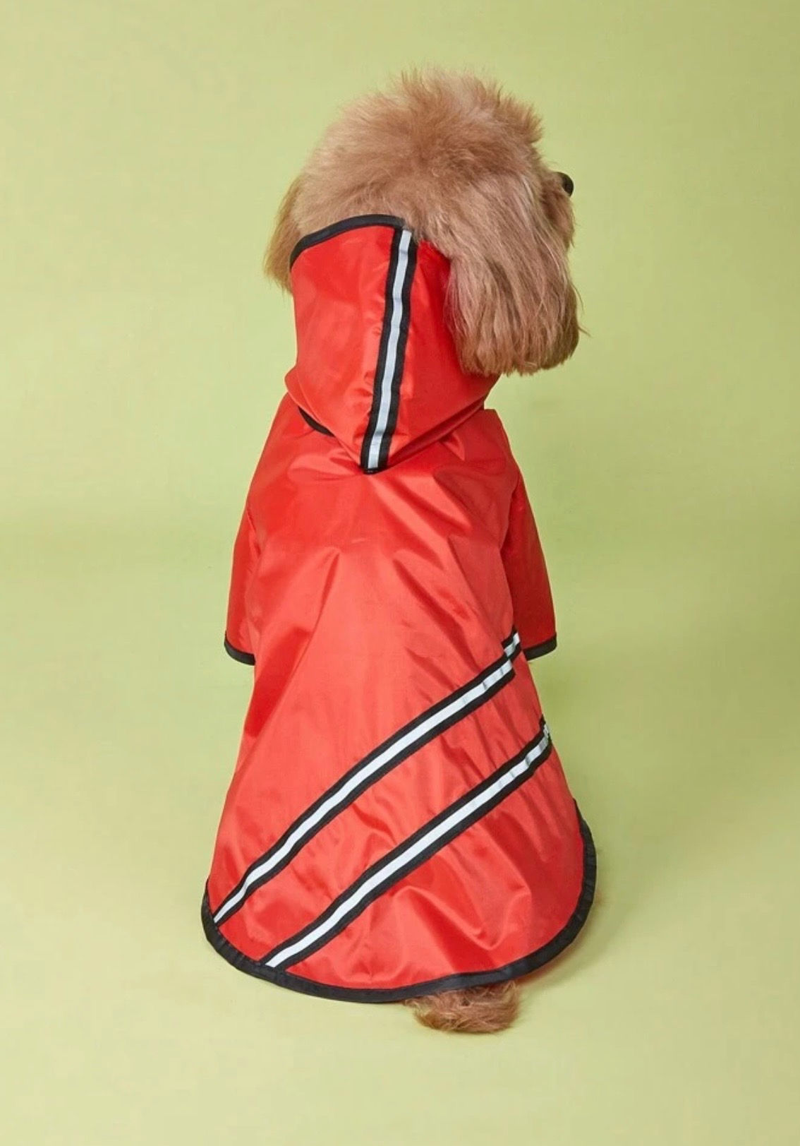 Red Reflector Raincoat