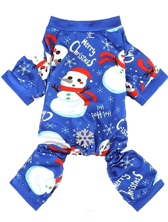 Blue Snowman Style Pajama