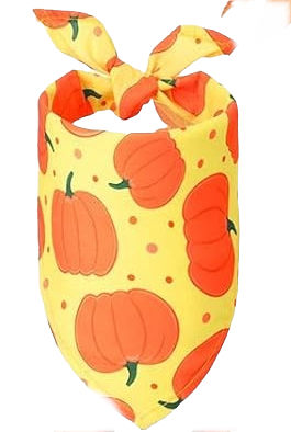 Yellow Pumpkin Fall Bandana