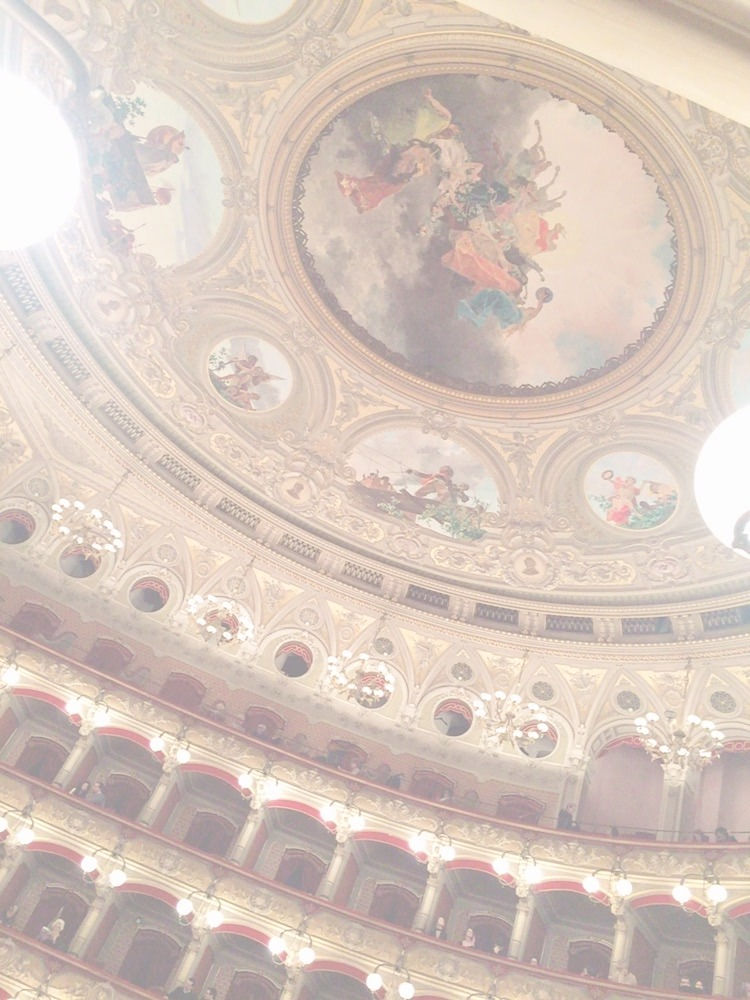 Next Performance | Official