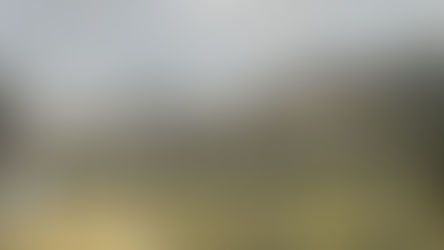 Revocada la licencia ambiental otorgada a Cementos Tequendama para la extracción de arenas silíceas