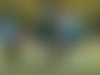 Report: Huddersfield Amateur 1 v 0 Rangers