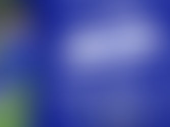 Up Next: Harlow Hill