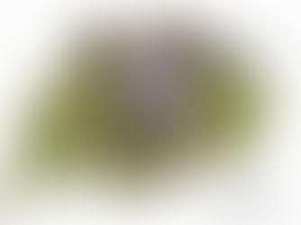 Match Preview: East End Park Reserves