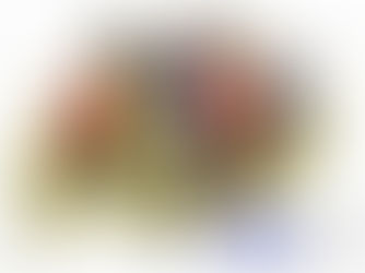 Match Preview: Kippax FC