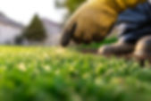 fertilization-fall-care-tips.jpg