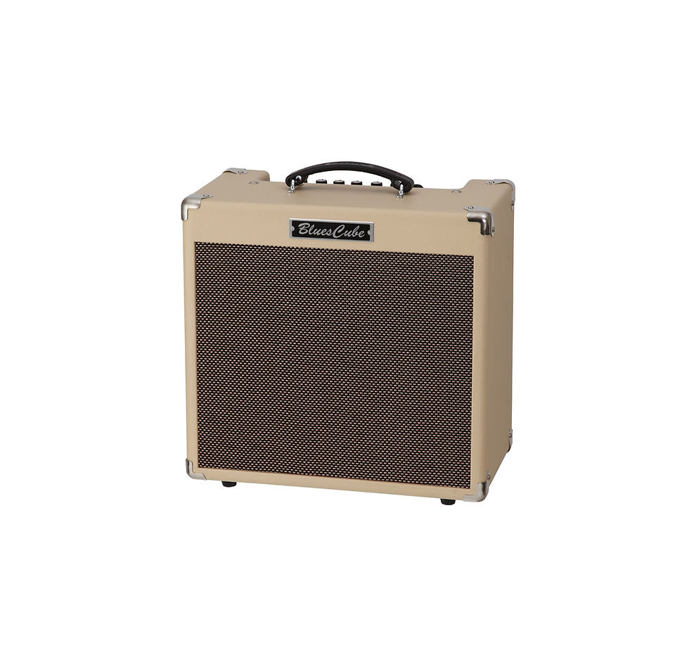 Miniatura: BC-HOT-VB Roland - Amplificador de guitarra 1x12