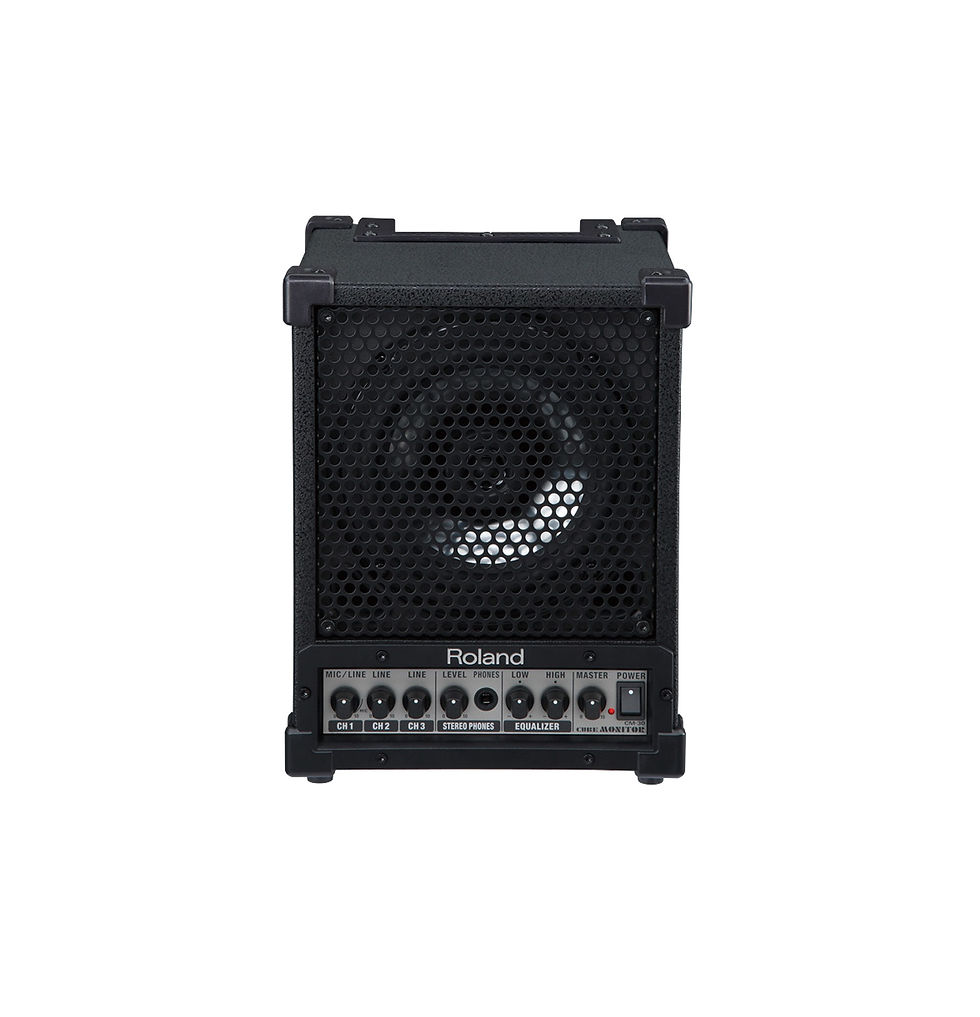 CM-30 Roland - Monitor de 30watts