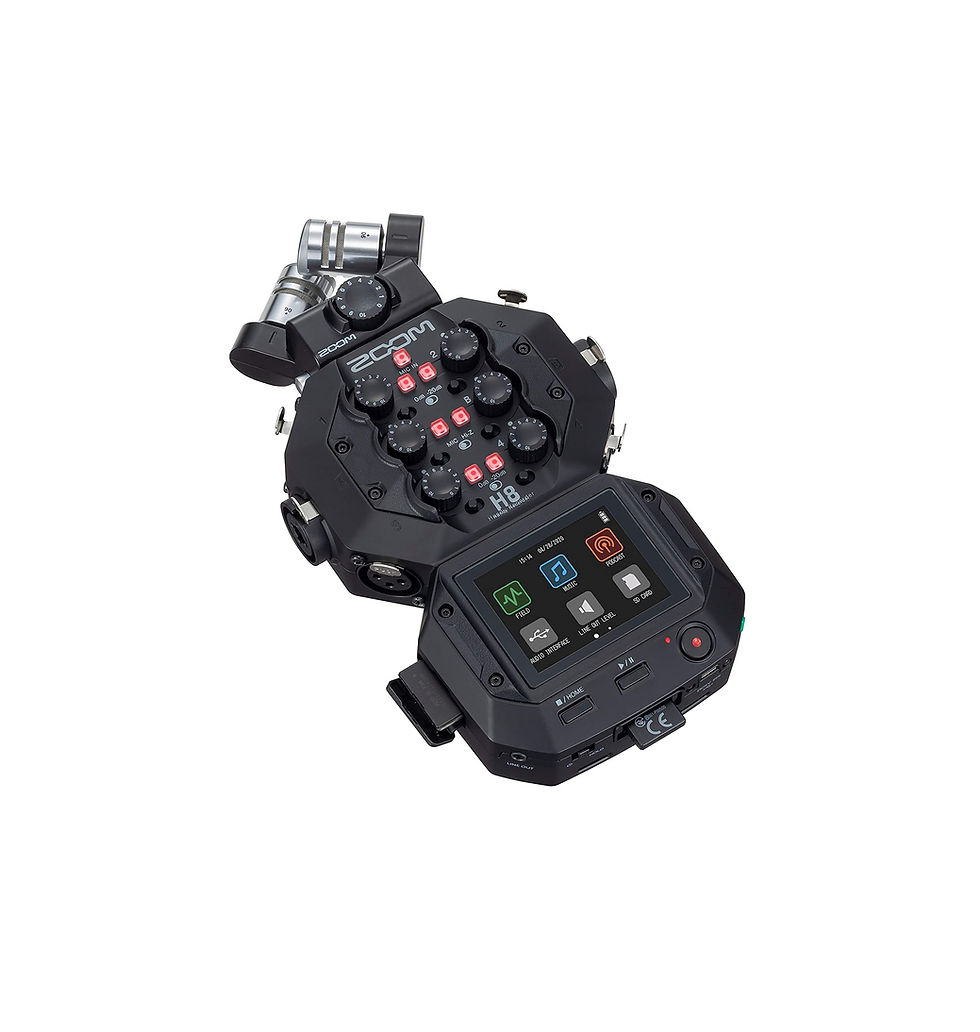Miniatura: H8 Zoom - Grabadora portatil