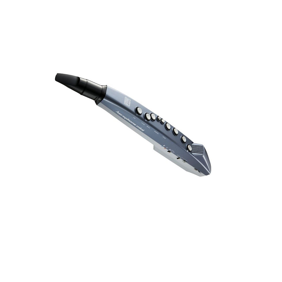 Miniatura: Ae-01 Roland - Instrumento De Viento Digital Aerophone Mini