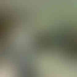 Fortalecer mentes, acolher corações