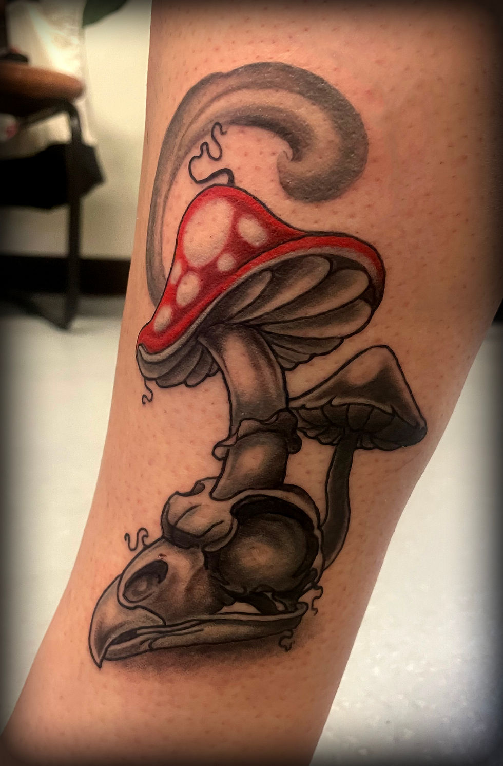 New School Owl Skull with Amanita