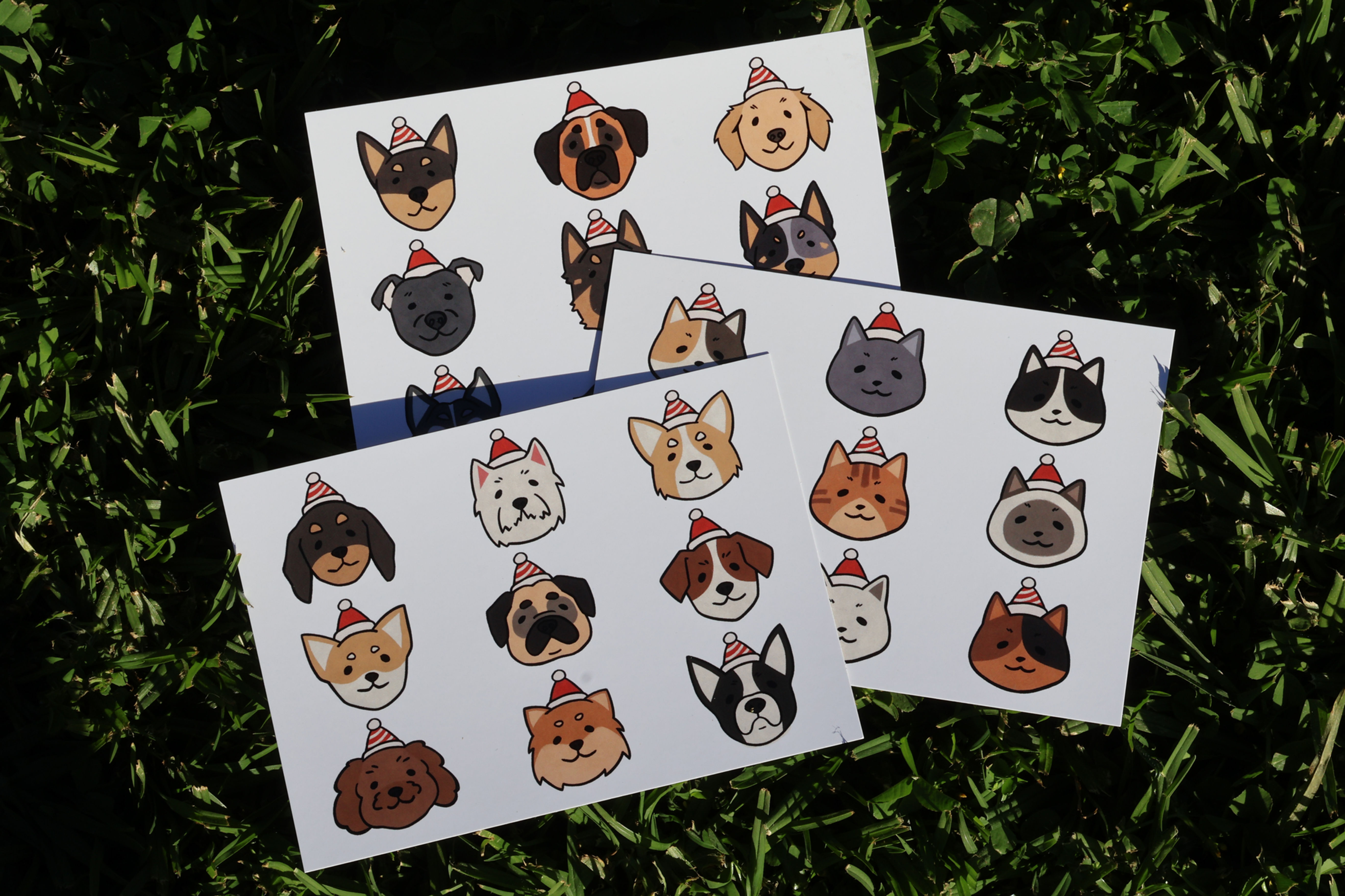 Postcard Bundle 4 for $15