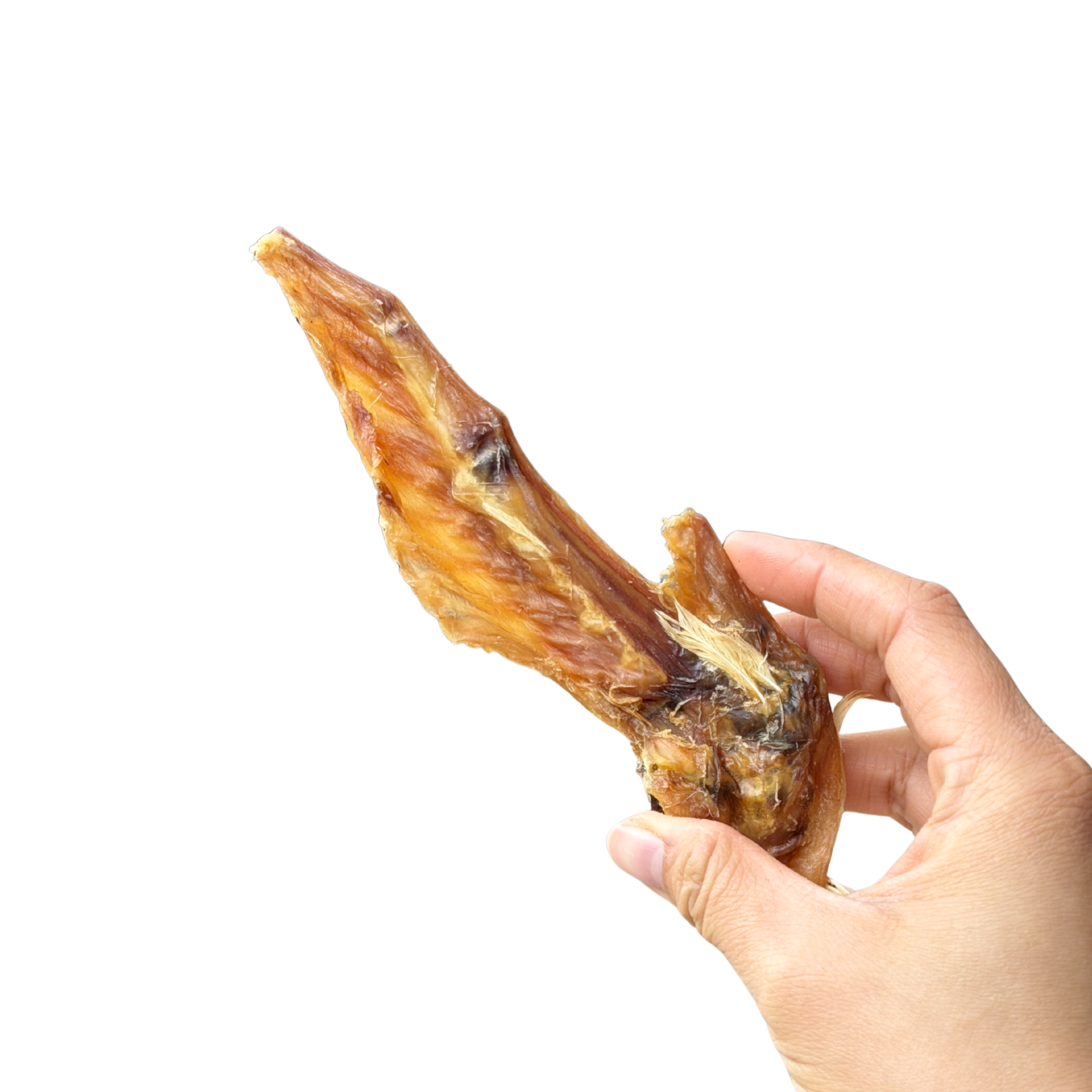 Turkey Wing Tips