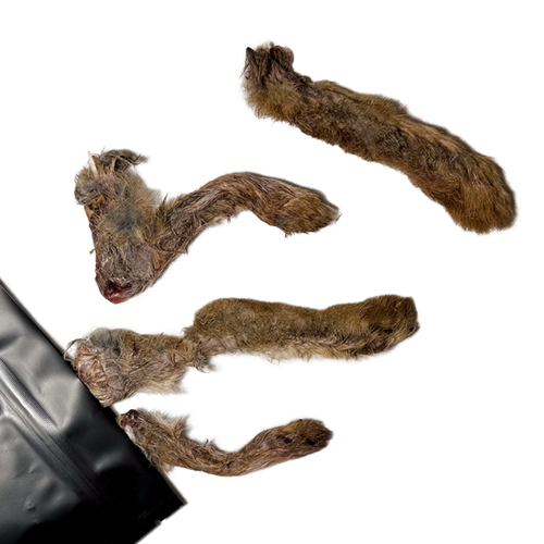 Rabbit Feet | PAWfectMood