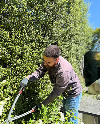 Tree prunning JJ Landscape LLC