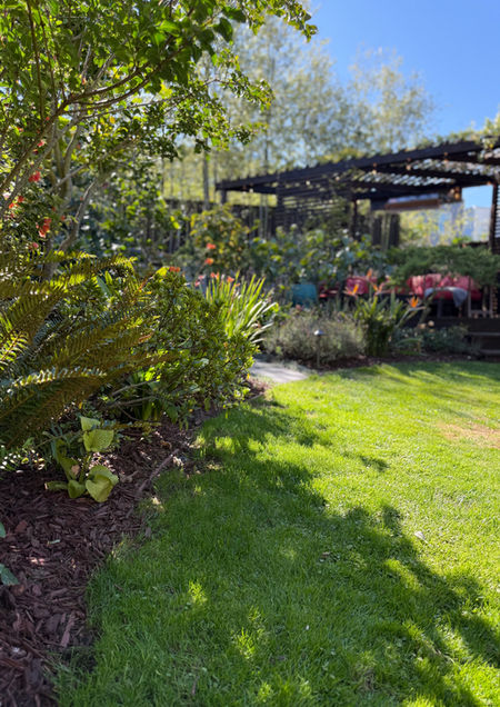 Lawn recovery process (heater installation)