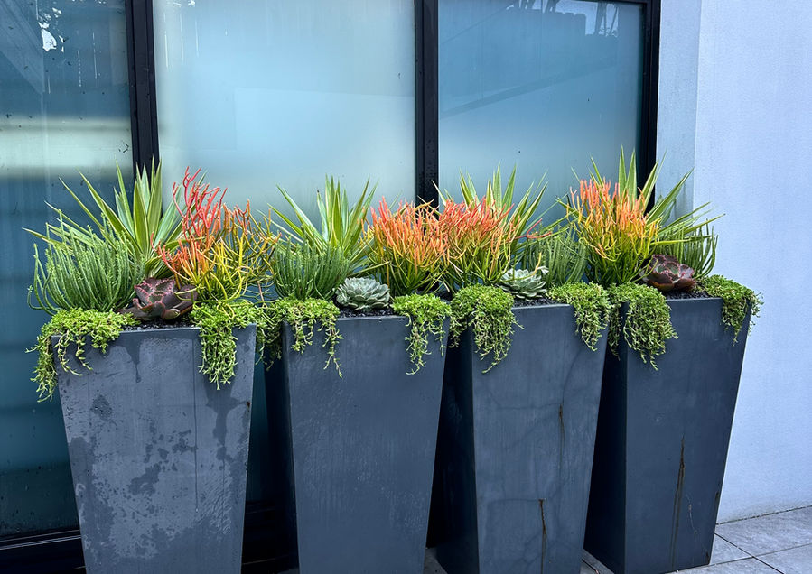 Design, Planting & Enhancements