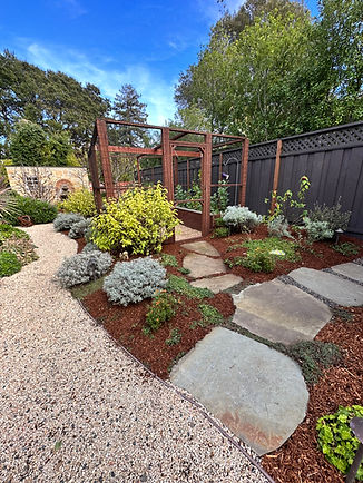 72826145807__CA91EA5A-9DE6-46C6-8FF0-F659E2A90A9D (1).jpeg