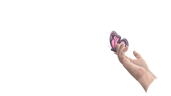 butterFLY.gif