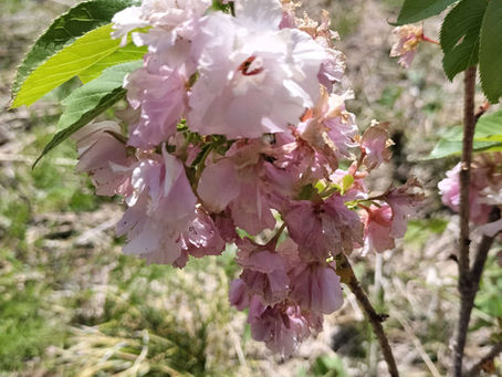 丸森合宿 5月編