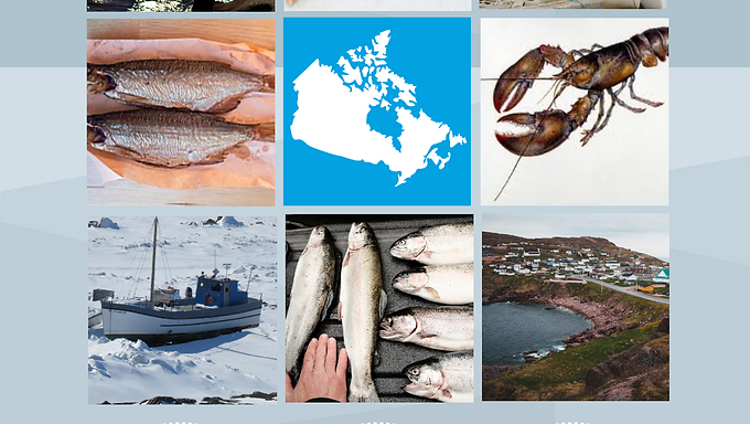 Charting a Transdisciplinary Future for Canadian SSF