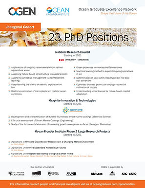 Shape the Future of the Ocean: 23 PhD Positions Open with OFI's Ocean Graduate Excellence Network