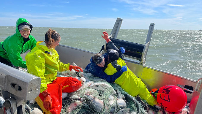 Doing What We Love: Stories from an all-Female Gillnetter in Bristol Bay, Alaska - Part 1: The Day the Fish Came