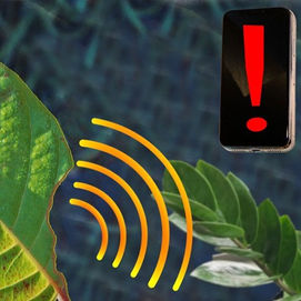 Smart Plant Communicator System