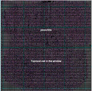 Picorv32a_edited.jpg