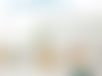 ㈜비에스지, Bio 기반 기능성 필름 및 라미네이션 원단 호평