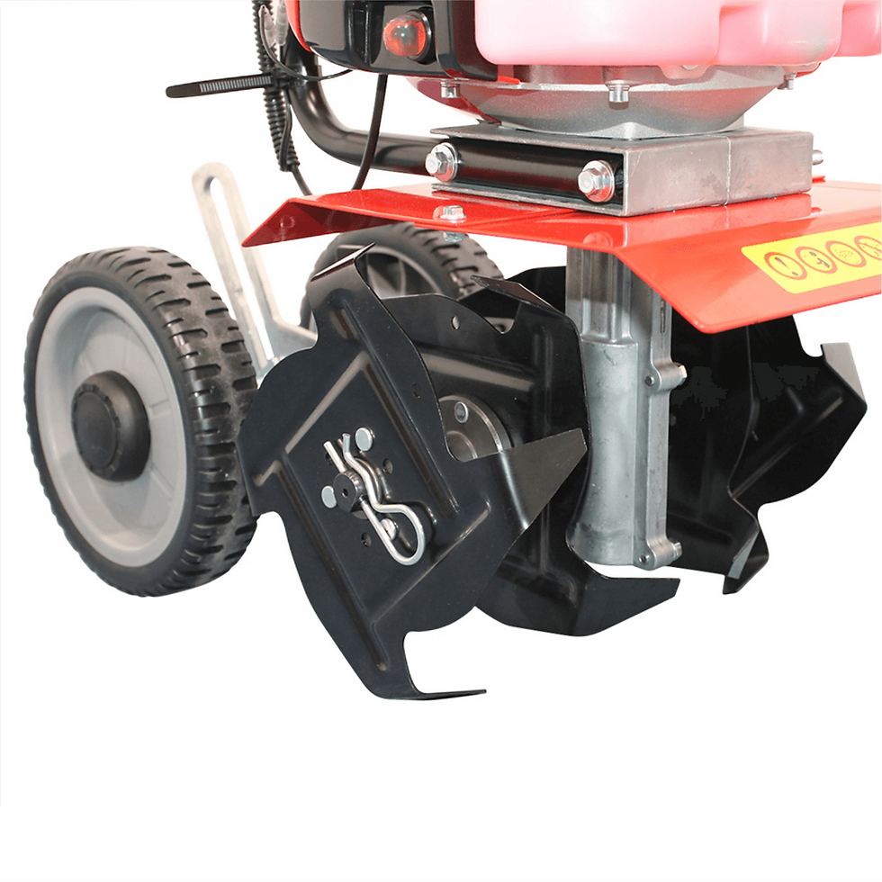 Miniatură: Motosapa bisonte BTA-MT430Y motor in 2 timpi 1,8 CP