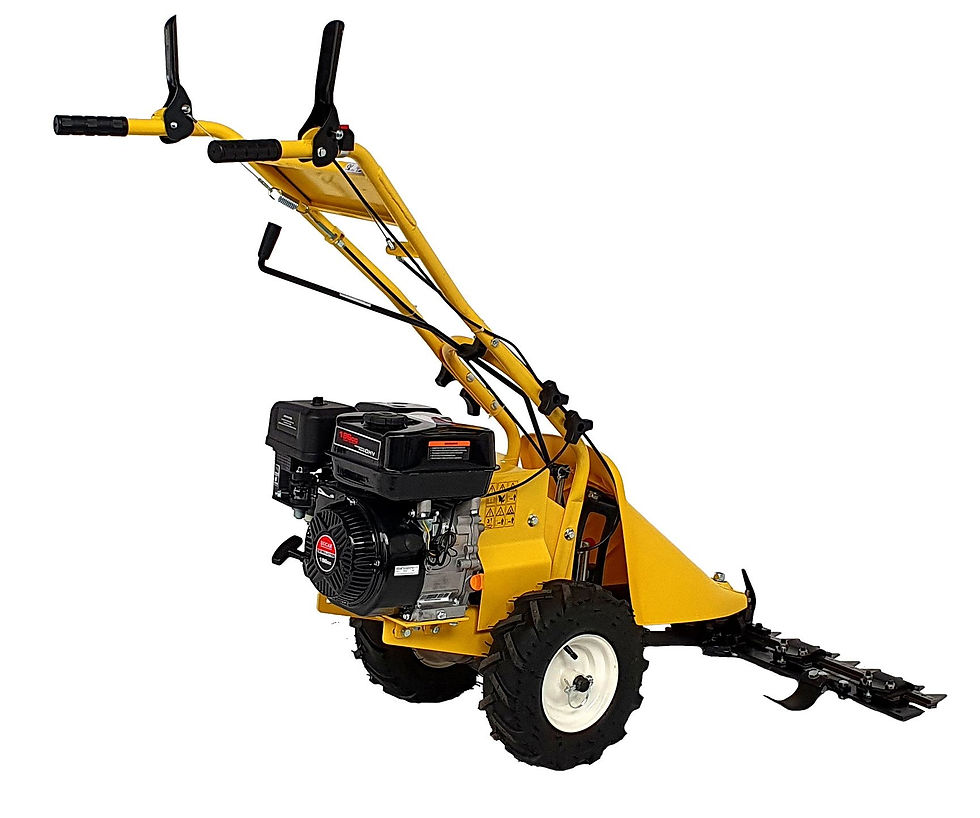 Miniatură: Motocositoare cu bara 6.5CP, benzina 4T, ProGARDEN BT-SM1003, 2 viteze