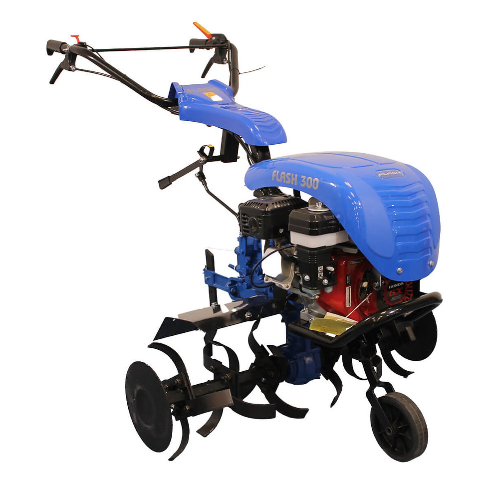 Motocultor Bisonte BTA-FLASH300H, motor HONDA 6.5CP, latime lucru 380-900mm