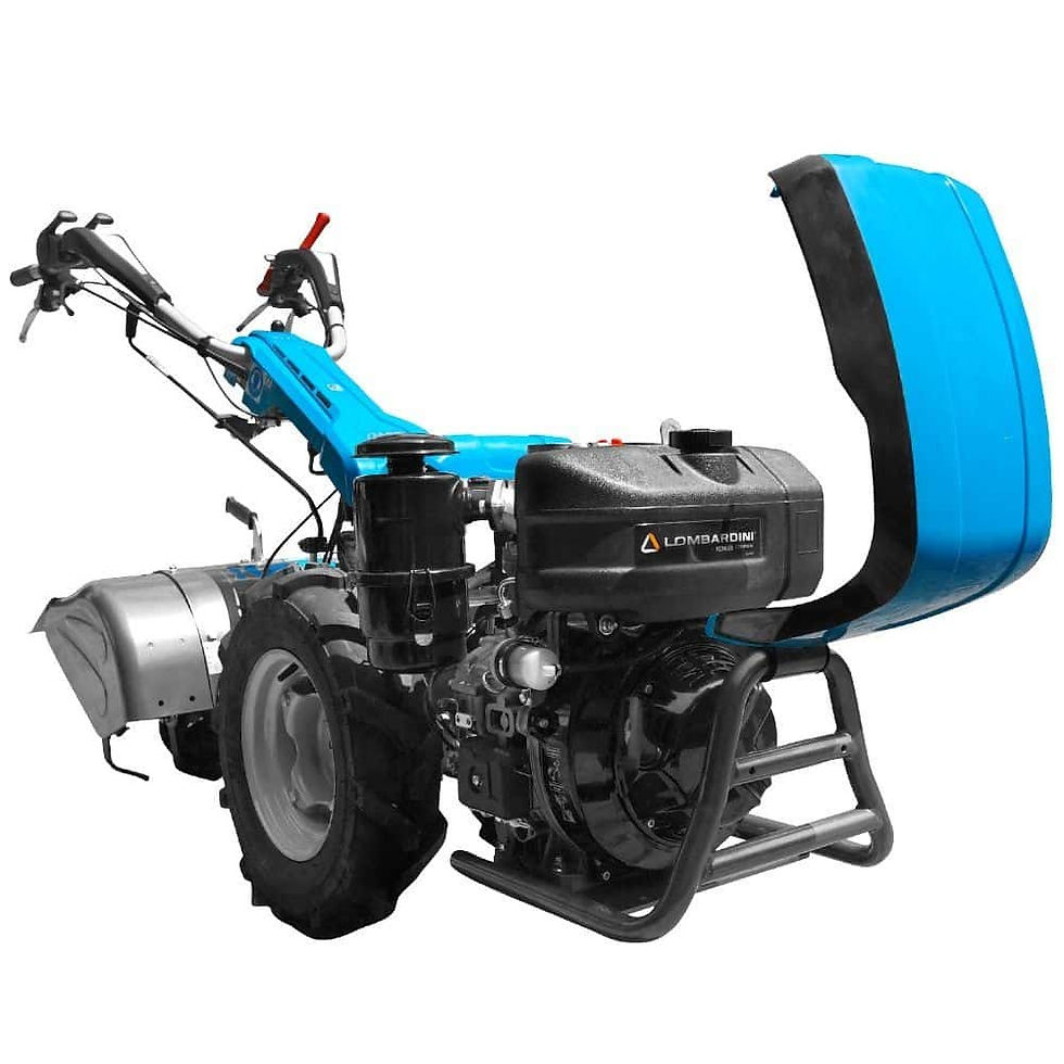 Miniatură: Motocultor profesional Bertolini 413S Lombardini 15LD440 Diesel 11 cp