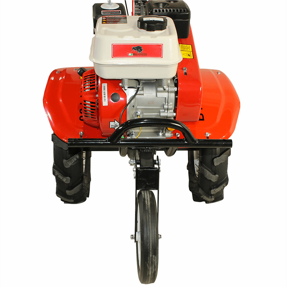 Miniatură: Motocultor bisonte, BTA-750, latime 560–830mm, adancime 300mm, motor 7cp