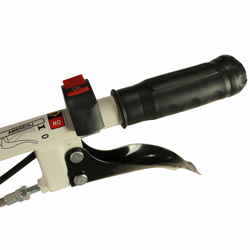Miniatură: Motocultor bisonte BTA-900FC, latime 560 – 830 mm, adancime 300 mm, motor 7cp