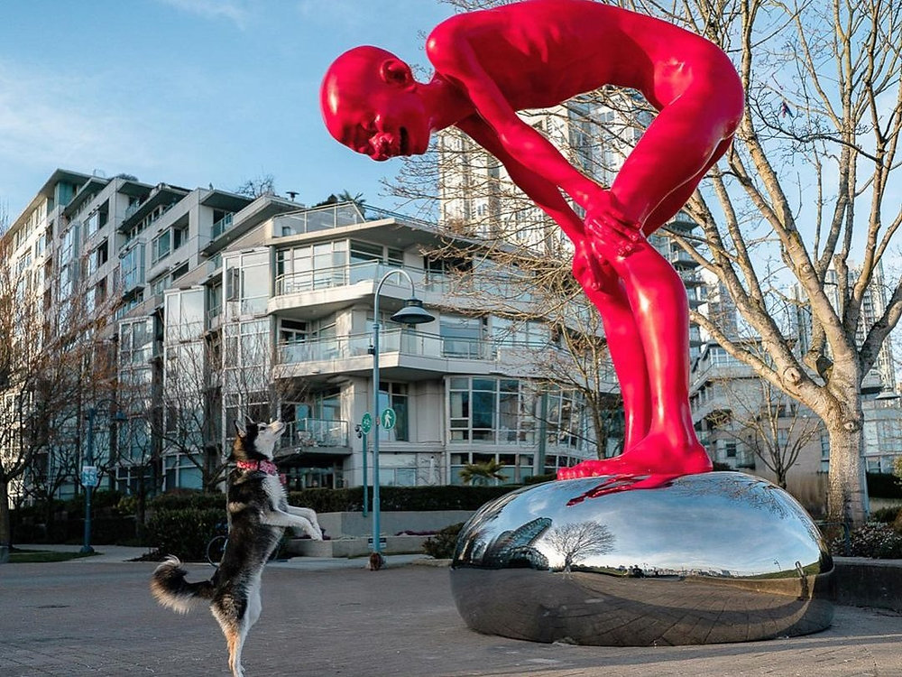 Vancouver dogs react to new Yaletown statue, and the photos are too good not to share