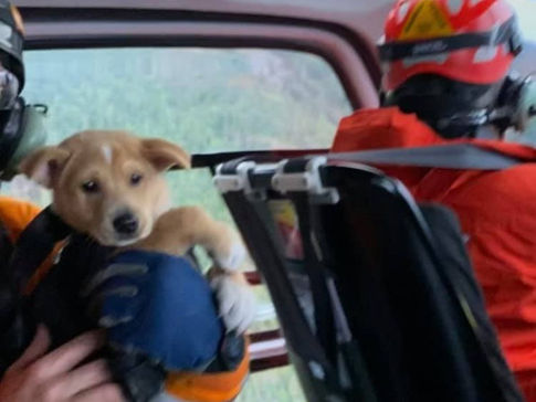 Puppy and hiker rescued from Howe Sound Crest Trail by helicopter after night in emergency shelter