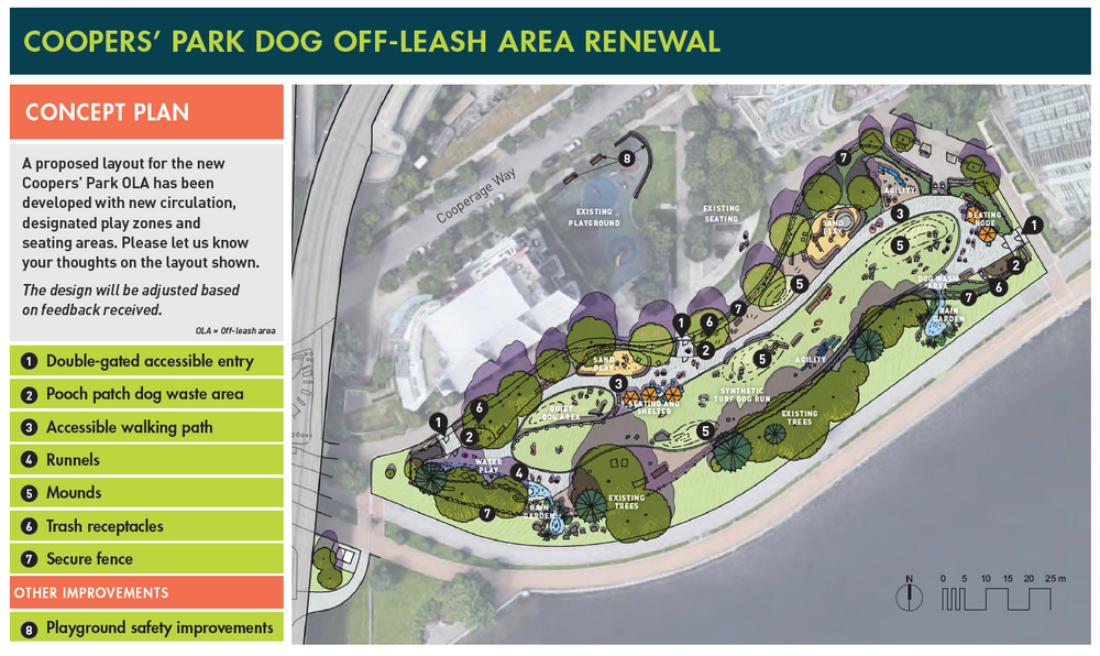 New concept for Yaletown dog park renewal has been revealed