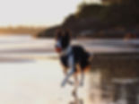Border Collie running on a Tofino beach