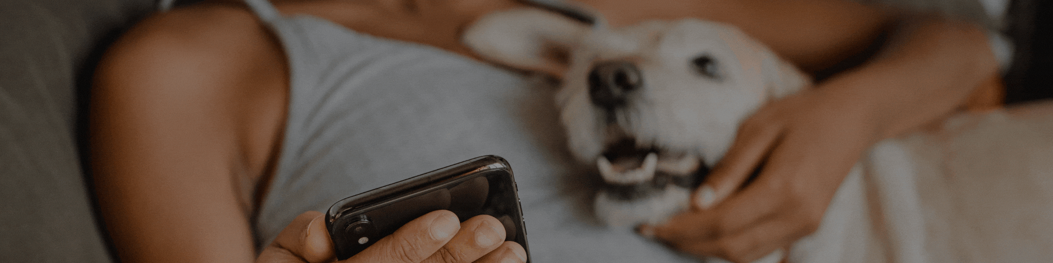 14 of the best Vancouver dog Halloween costumes of 2021