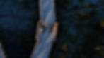 IMAGE 1.jpg