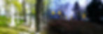 Konsten hero.jpg