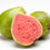 Thumbnail: Tropical Pink Guava