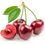 Thumbnail: Bing Cherry (Prunus Avium)