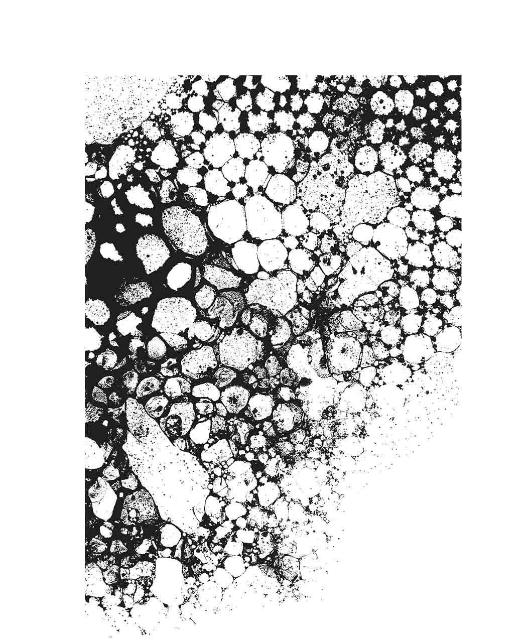 Tim Holtz Cling Stamps 7"X8.5" by Stampers Anonymous - Bubbles  with Acrylic Blo