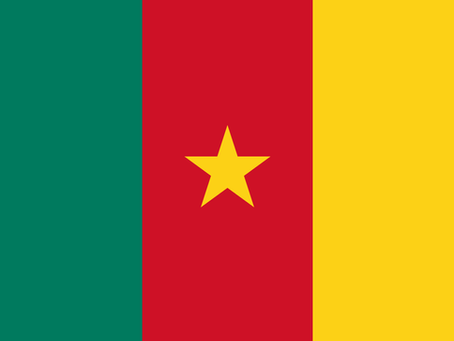 The Ultimate Guide to Cameroon (Yaounde & Douala) Drone Laws & Rules | Drone Forum