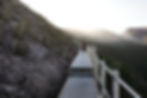 Horsetail Falls Track near Queenstown in Tasmania